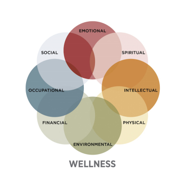 TrulyWell meditation and wellness